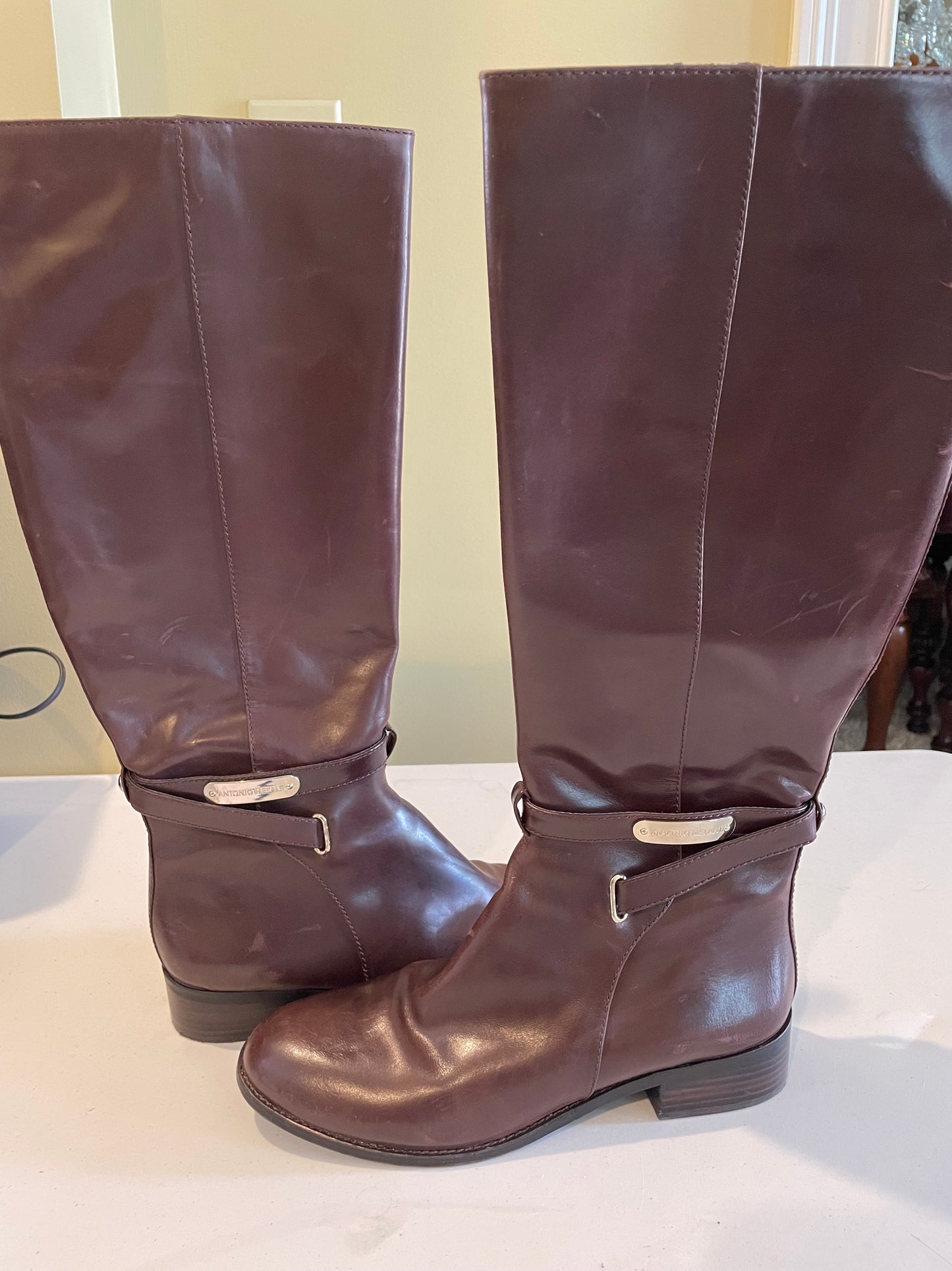 Antonio Melani Tall Dark Brown Leather Boots ~Size10M~ Fairly New Condition