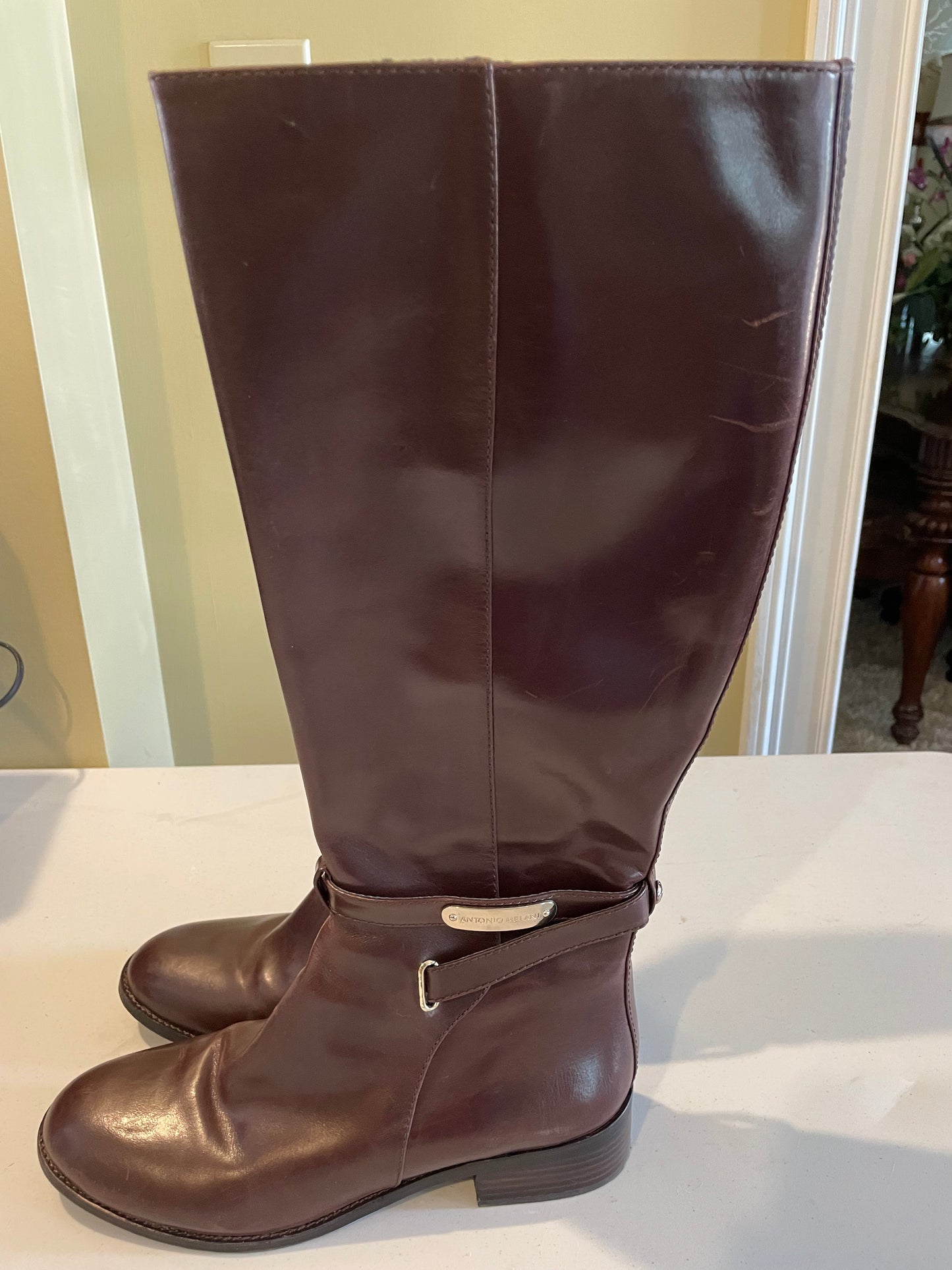 Antonio Melani Tall Dark Brown Leather Boots ~Size10M~ Fairly New Condition