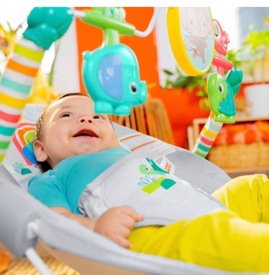 Bright Starts Playful Paradise Vibrating Baby Bouncer (already assembled)