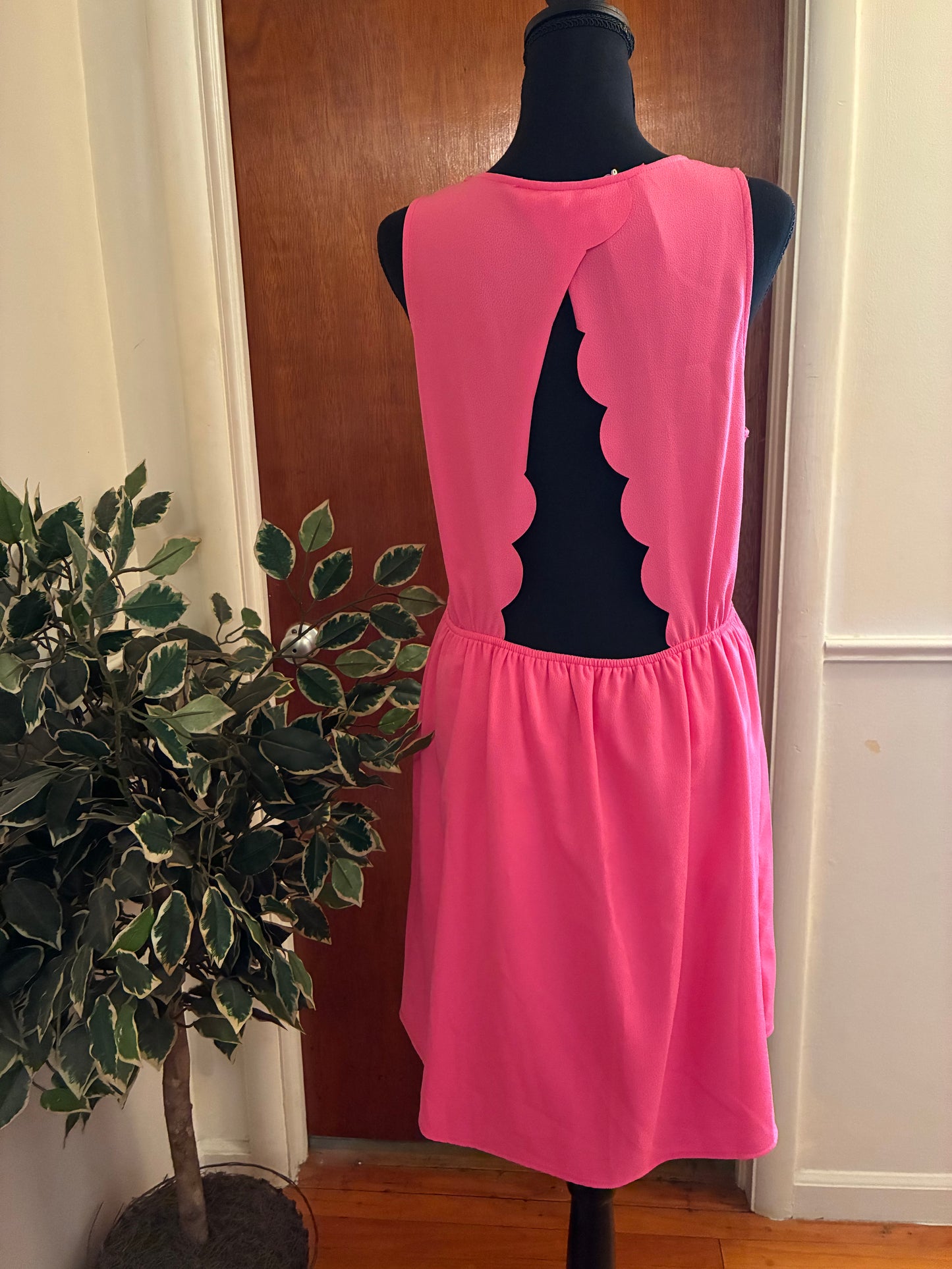 Francesca’s Be Stitched Dainty Hooligan Small Pink Scalloped Back Fit & Flare Dress Sleeveless Skater Pink Dress (New With Tag) Size Large